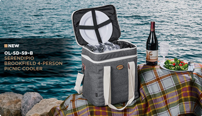 4-person-picnic-cooler.jpg